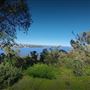Kings Park