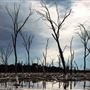 Katanning