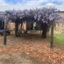 1418 Katrine Rd
