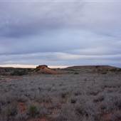Coolgardie Outskirts