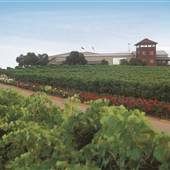Ferngrove Wines
