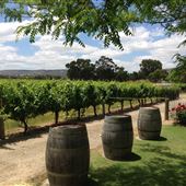 Windy Creek Estate