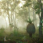 Capercup Nature Reserve
