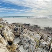 The Cove