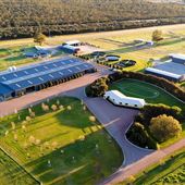 Gold Front Breeding & Racing