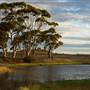 Coolgardie Outskirts