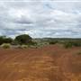 Coolgardie Back streets