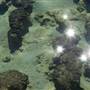 Hamelin Pool Marine Nature Reserve