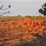 Karratha Surrounds - Pilbara