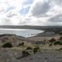 Hamelin Bay