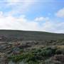 Cape Leeuwin