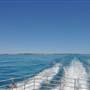 Rottnest Island