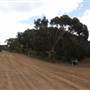 Thomas Rd - Lower Denmark