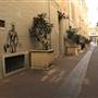 Perth - Wolf Lane