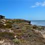 Abrolhos Islands - East Wallabi