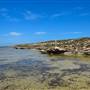 Abrolhos Islands - East Wallabi
