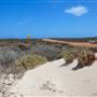 Abrolhos Islands - East Wallabi
