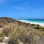 Abrolhos Islands - East Wallabi