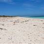 Abrolhos Islands - East Wallabi