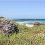Garden Island - Gilbert Point - from land