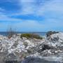 Garden Island - Point Atwick - North and South Bay from land