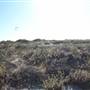 Woodman Point