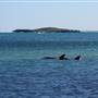 Lancelin