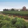 Ferngrove Wines