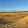 Pinnacles - Nambung National Park