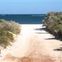 Lancelin