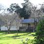 Albany - Strawberry Hill Farm