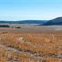 Chapman Valley