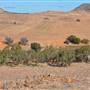 Chapman Valley