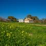 Chapman Valley