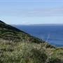 Shelley Beach & surrounds - West Cape Howe National Pk
