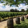 Windy Creek Estate