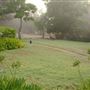 Mingah Mia Family Farm