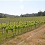 Drakesbrook Fine Wines Winery