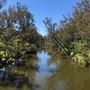 Pinjarra Suspension Bridge