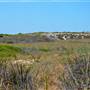 Garden Island -  Overview