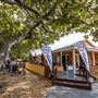 Rottnest - Bars, Cafes & Stores