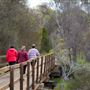 Darkan to Collie Rail Trail