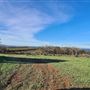 Craigendarroch, Porongurup