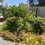 Dunsborough Beach House