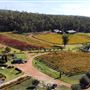 Myattsfield Vineyards