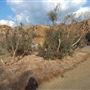 Statham's Quarry
