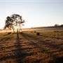 Dwellingup