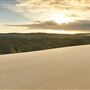 Yeagarup Sand Dunes