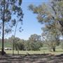 Bickley-Carmel Valley