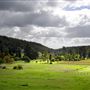 Bickley-Carmel Valley